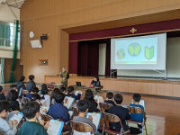 s-PXL_20231204_043441795