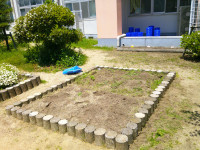 DSCF0303