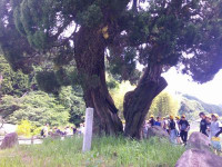 DSCF0446
