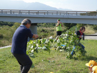 P1000796